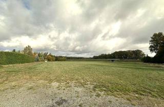 Gewerbeimmobilie kaufen in 02994 Bernsdorf, 7.133 m² Grünland in Bernsdorf – Pflegeleichte Wiesenfläche in ruhiger Lage