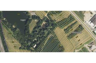 Gewerbeimmobilie kaufen in 69181 Leimen, unerschlossene gewerbliche Baufläche, Leimen (im Hagen) zu verkaufen.