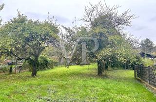 Immobilie kaufen in 66773 Schwalbach, Ideal für eine Doppelhaushälfte - Baugrundstück in Hülzweiler