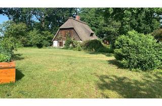 Bauernhaus kaufen in 25358 Horst, Horst (Holstein) - Familientraum unter Reet - ruhig & naturnah leben