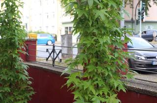 Wohnung mieten in Velsstraße, 44803 Altenbochum, Wohnen und Arbeiten in guter Lage von Altenbochum ab 1. Dezember oder später