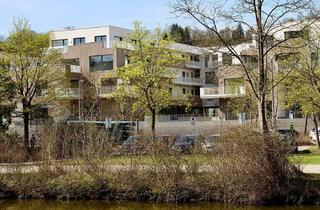 Wohnung mieten in 85072 Eichstätt, Nachmieter gesucht: tolle 2-Zimmer Wohnung mit Balkon in Eichstätt