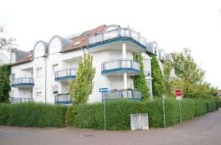 Wohnung mieten in Am Bieberbach 31, 63128 Dietzenbach, schöne 2 Zimmer Wohnung mit Balkon und Einbauküche