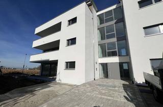 Wohnung mieten in Friedhofstr., 79206 Breisach, ERSTBEZUG! Geräumige 4-Zimmer Wohnung in Breisach-Niederrimsingen