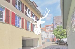 Wohnung mieten in 79761 Waldshut-Tiengen, Moderne 3 Zimmer Wohnung im Herzen von Tiengen zu vermieten