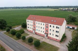 Wohnung mieten in Lindenstraße 17, 39649 Miesterhorst, Schöne 2-Raumwohnung in Miesterhorst