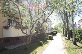 Wohnung mieten in Wilhelm-Pieck-Straße, 06193 Löbejün, 2-Raum-Wohnung im 3. Geschossin Wettin-Löbejün (OT Löbejün) zu vermieten