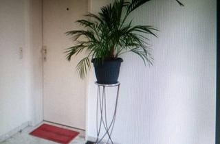 Wohnung mieten in Hauptraße 26, 31707 Heeßen, Heeßen 120qm 3-ZKB großer Balkon sehr großes Wohnz.gerne Besichtigung Tel.0152/33645033