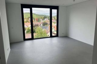 Wohnung mieten in 71720 Oberstenfeld, Stilvolle 2-Zimmer-DG-Wohnung mit Einbauküche und Balkon in Oberstenfeld
