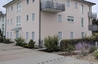 Wohnung mieten in 86663 Asbach-Bäumenheim, Neuwertiges Single Apartment mitten in Bäumenheim
