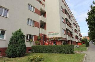 Wohnung mieten in H.-Heine-Str. 36, 04600 Altenburg, Schnell sein lohnt sich! Schöne 2-Raumwohnung im Erdeschoss mit Balkon!