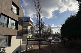 Wohnung mieten in Kekuléstraße, 64287 Darmstadt, Spektakuläre Wohnung mit großer Dachterrasse - Erstbezug -