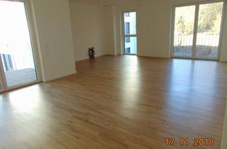 Wohnung mieten in 61184 Karben, wunderschöne und großzügige Erdgeschosswohnung in Karben