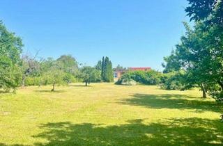 Grundstück zu kaufen in 14806 Bad Belzig, ca.1000 m² Baugrund inmitten der Kur und Kreisstadt