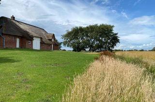 Haus kaufen in 25924 Rodenäs, Resthof in herausragender Lage
