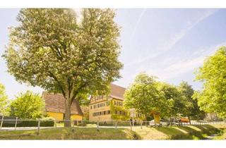 Haus kaufen in 74673 Mulfingen, Viel Platz, viele Möglichkeiten, viel Potential!