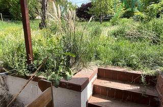 Haus kaufen in 34466 Wolfhagen, Fachwerkhaus in Wolfhagen Viesebeck, ca. 100 m² Wohnfläche und 750 m² Gartenfläche.