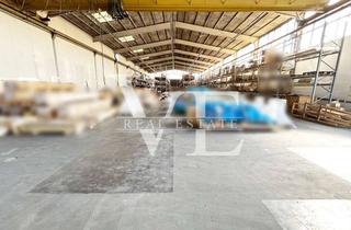 Gewerbeimmobilie mieten in 73655 Plüderhausen, HALLE - HOHE DECKEN - EBENERDIGE TORE - TOP ANBINDUNG