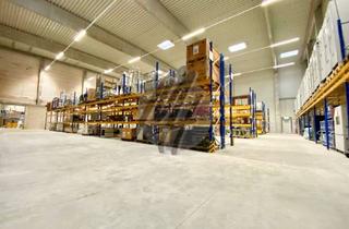 Büro zu mieten in 65439 Flörsheim, KEINE PROVISION ✓ RAMPE + EBEN ✓ Lagerflächen (2.800 m²) & Büroflächen (300-1.000 m²) zu vermieten