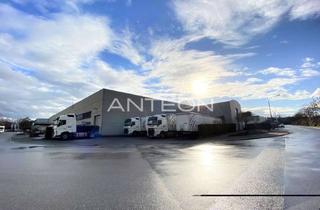 Büro zu mieten in 40764 Langenfeld, Umschlaghalle | Büro | Rampentore & ebenerdig | 24/7-Nutzung