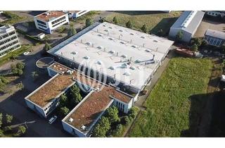 Gewerbeimmobilie mieten in 64625 Bensheim, *JLL* - 4.000 m² attraktive Produktionsfläche in Bensheim