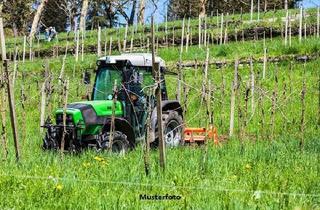 Anlageobjekt in Alter Rathausplatz, 55578 Wallertheim, Landwirtschaftliches Gehöft (Weingut)