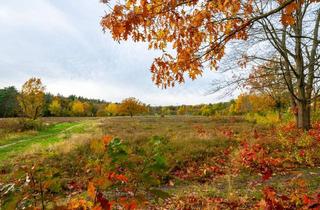 Grundstück zu kaufen in 61440 Oberursel, Grundstück mit Potenzial in Bestlage an der Stierstädter Heide
