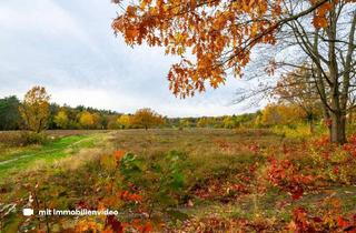 Grundstück zu kaufen in 61440 Oberursel, Grundstück mit Potenzial in Bestlage an der Stierstädter Heide