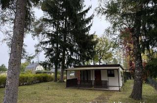 Grundstück zu kaufen in 15537 Grünheide, schönes Baugrundstück in grüner Lage