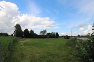 Grundstück zu kaufen in 85354 Freising, ABSEITS DES TRUBELS!!! Großes Freizeit-Grundstück für Familie und Erholung