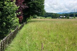 Grundstück zu kaufen in 83355 Grabenstätt, Freizeitgrundstück mit vielen Nutzungsmöglichkeiten