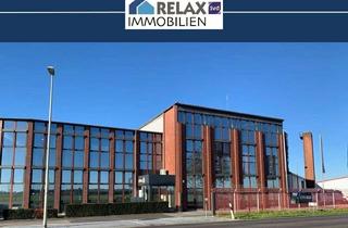 Büro zu mieten in 52511 Geilenkirchen, Ebenerdige Büroräume im Office 61