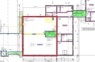 Büro zu mieten in 53757 Sankt Augustin, Sankt Augustin:Gepflegte Büroeinheit in Sankt Augustin Hangelar mit ca. 251m² zu vermi