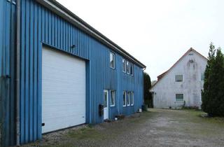 Immobilie kaufen in 24251 Osdorf, Vielseitiges Gewerbeensemble in Osdorf