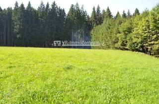 Immobilie kaufen in 86920 Denklingen, landwirtschaftliche Fläche - Wiese