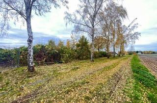 Gewerbeimmobilie mieten in 31275 Lehrte, Pferdeliebhaber, Hundefreunde & Gärtner aufgepasst!