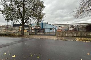 Gewerbeimmobilie mieten in 50354 Hürth, Hallen mit Außenflächen