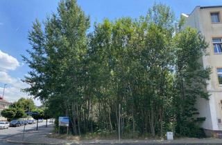 Grundstück zu kaufen in Wilhelm-Pieck-Straße, 04651 Bad Lausick, Grundstück für Mehrfamilienhaus in zentraler Lage der Kurstadt Bad Lausick