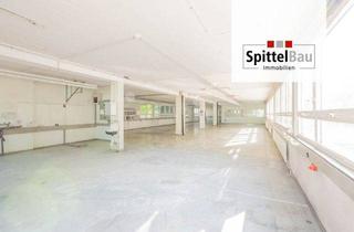 Geschäftslokal mieten in 78713 Schramberg, Preiswerte Lagerfläche mit 350 m² flexibel auf 46 m² unterteilbar!