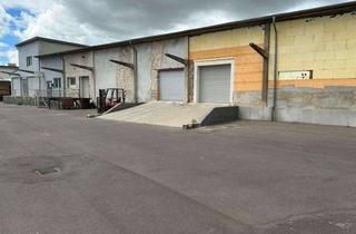 Geschäftslokal mieten in Bahnhofstraße 55, 39261 Zerbst, 1-3 geräumige Lagerhallen zentral in Zerbst zu vermieten