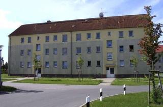 Wohnung mieten in Dorfstraße 39 a-b, 18513 Grammendorf, 3 Raum Wohnung in Grammendorf