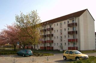 Wohnung mieten in Ernst-Thälmann-Straße 6 b, 18465 Tribsees, 2 Raum Wohnung in Tribsees