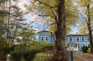 Wohnung mieten in Wilmshagen, 18311 Ribnitz-Damgarten, 2 Zimmerwohnung in idyllischer Lage in Ribnitz/OT Wilmshagen zu vermieten