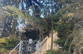 Einfamilienhaus kaufen in Schmiedeberger Weg 10, 06905 Bad Schmiedeberg, BAD SCHMIEDEBERG * GROSSES GRUNDSTÜCK mit EINFAMILIENHAUS (sanierungsbedürftig) * leerstehend * a...