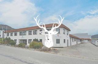 Immobilie kaufen in 78564 Wehingen, Vielseitig nutzbares Gewerbeareal in Top-Lage von Wehingen zu verkaufen