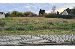 Gewerbeimmobilie kaufen in Hauptstraße 23, 15910 Rietzneuendorf-Staakow, Baugrundstück im Grünen