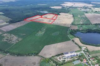 Gewerbeimmobilie kaufen in 15374 Müncheberg, Attraktive arrondierte Ackerfläche (ca. 24 ha) östl. von Berlin - 50% Miteigentumsanteil