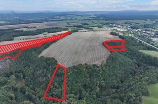 Gewerbeimmobilie kaufen in 01819 Bahretal, Stattlicher Laubmischwald (ca. 3 ha) im Bahretal - Sächsische Schweiz