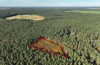 Gewerbeimmobilie kaufen in 19288 Alt Krenzlin, Eichen-Zukunftswald (ca. 0,8 ha) zw. Hamburg und Berlin