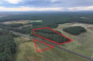 Gewerbeimmobilie kaufen in 02999 Lohsa, Wald und Grünland (ca. 3 ha) bei Lohsa